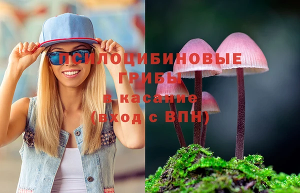дживик Киренск