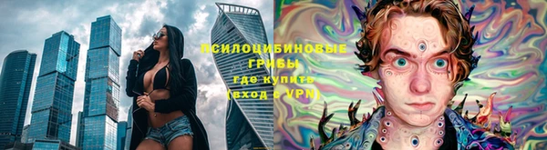 дживик Киренск