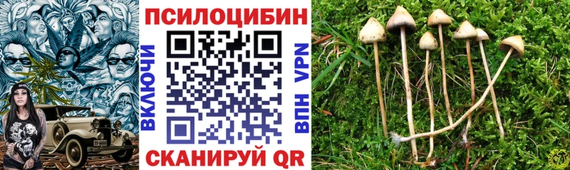 Купить  Балаково  Галлюциногенные грибы мицелий 
